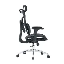Ghế công thái học E DRA EEC226 | Đen, Chân xoay, Lưng lưới
