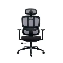 Ghế công thái học Ergonomic Warrior Hero Series WEC509 | Đen